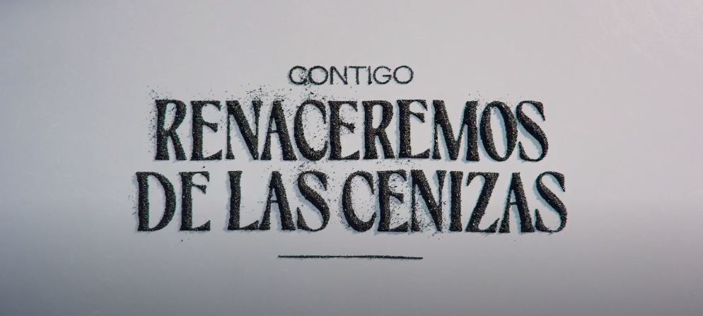 anuncioplatanodecanarias